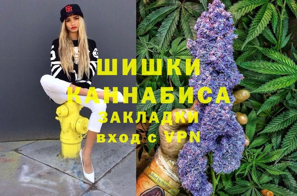 ГАЛЛЮЦИНОГЕННЫЕ ГРИБЫ Тында