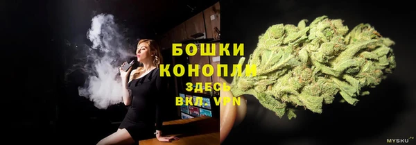 ГАЛЛЮЦИНОГЕННЫЕ ГРИБЫ Тында