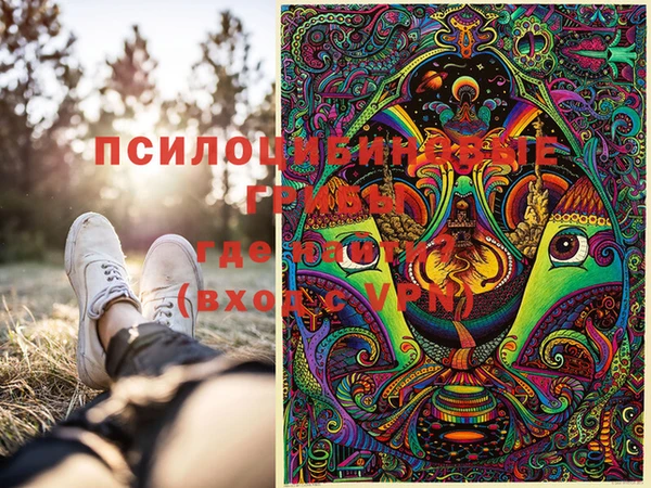 индика Тутаев