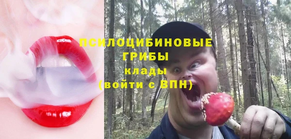 спиды Карпинск