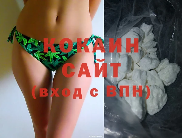 индика Тутаев