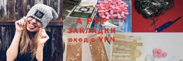 хмурый Касимов