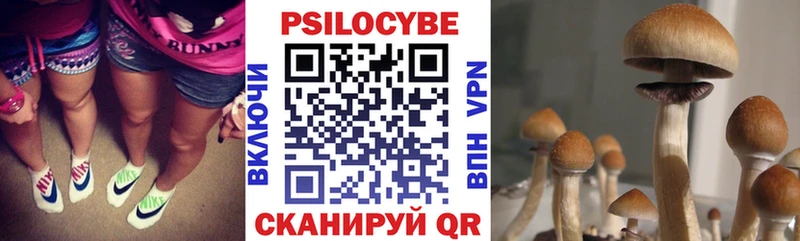 Псилоцибиновые грибы прущие грибы  Купить закладки  Магас 
