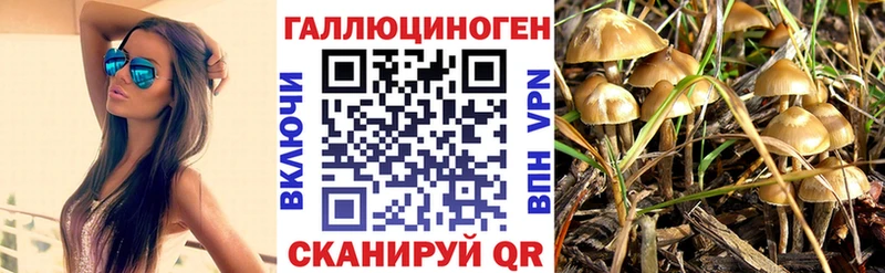 Псилоцибиновые грибы Psilocybine cubensis Магас